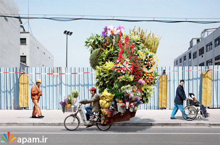 دوچرخه,دوچرخه های باربر,Cool, Photos, of Bicycle, Couriers,apam.ir