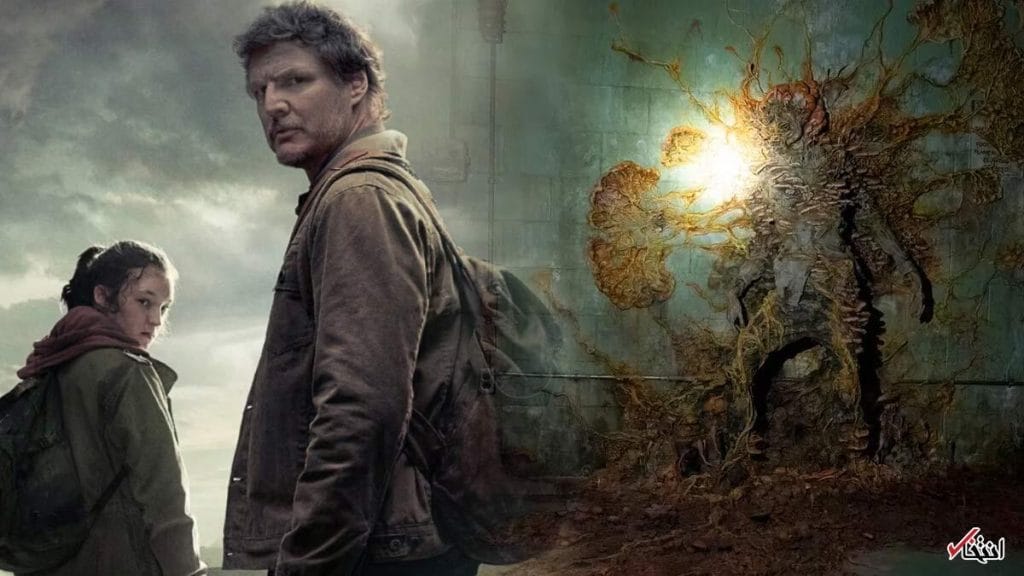آیا قارچ زامبی در سریال «The Last of Us» میتواند واقعاً انسانها را آلوده کند؟ نظرات علمی را کشف کنید!