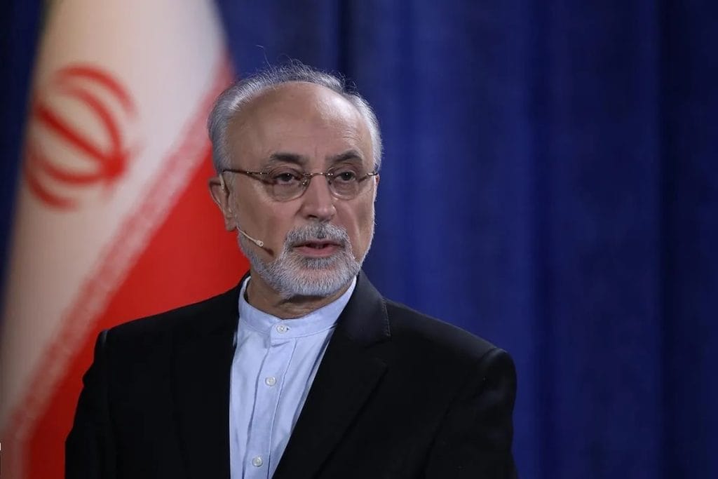 صالحی: چرا نام خلیج فارس با بیش از 2000 سال تاریخ معتبر ارتباط دارد و تلاش‌ها برای تغییر آن از کجا نشأت می‌گیرد؟!