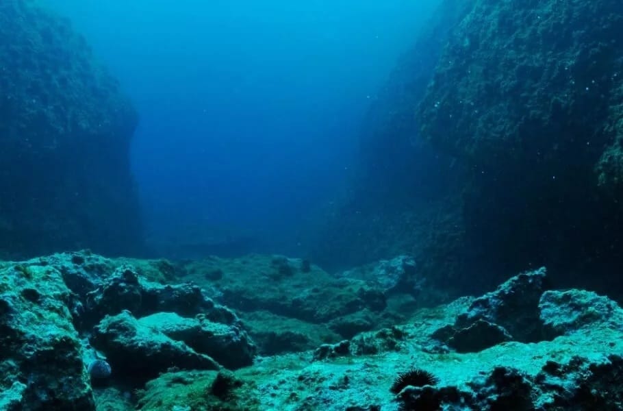 تحقیق تازه: آیا میدانستید که انسان هنوز ۹۹.۹۹۹ درصد از کف اقیانوسها را مشاهده نکرده است؟ جالبتر این که ما تصاویر بهتری از مریخ داریم تا عمقهای پنهان اقیانوسهای خودمان!