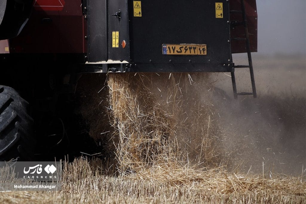 برداشت گندم در دشت آزادگان: سفری به دنیای خوشههای طلایی!