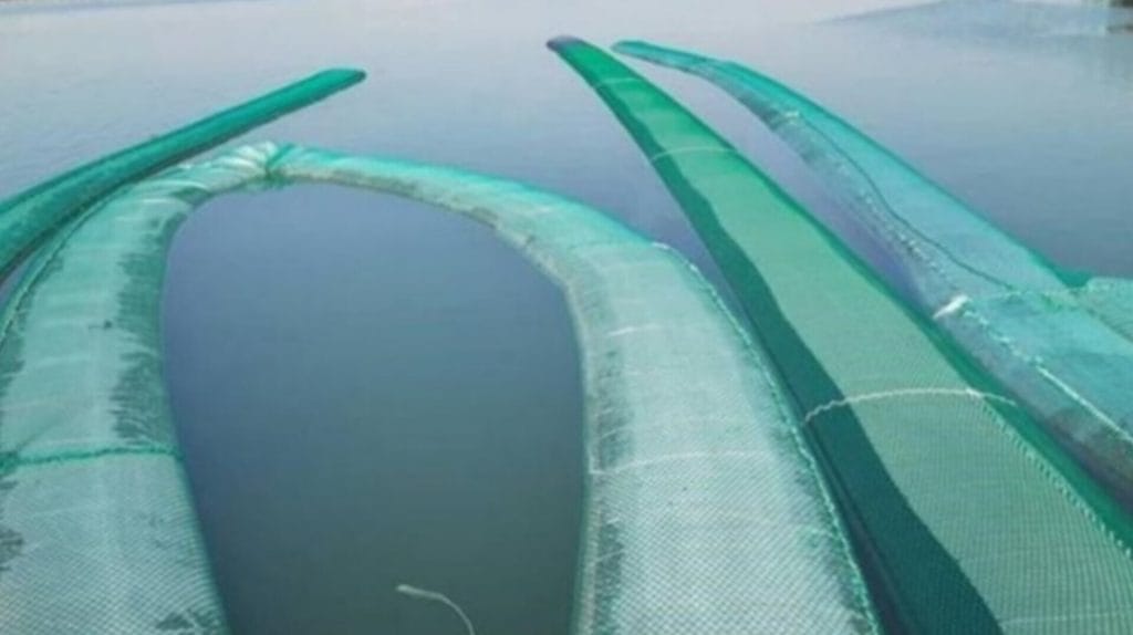 کشف بیش از یک میلیون لیتر سوخت قاچاق در خلیج‌فارس: رازهایی که مرزبانان فاش کردند!