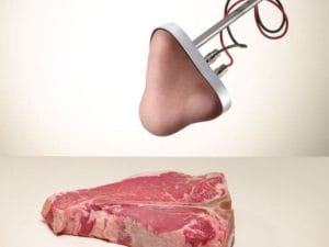 یک بینی مصنوعی از کره‌جنوبی که می‌تواند به‌دقت انواع رایحه‌ها را شناسایی کند!