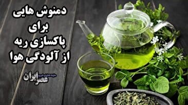 قرارداد بانک صادرات ایران برای راهاندازی پیشرفتهترین کارخانه قند و شکر در غرب کشور: فرصتها و تحولات جدید در صنعت قند!