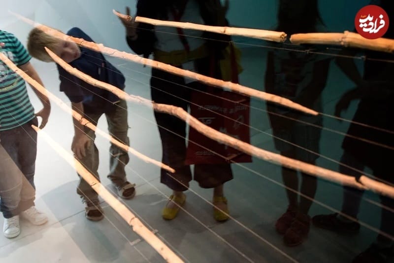 رازهای جذاب زندگی شگفتانگیز: 7 کلید برای بهبود کیفیت زندگیتان