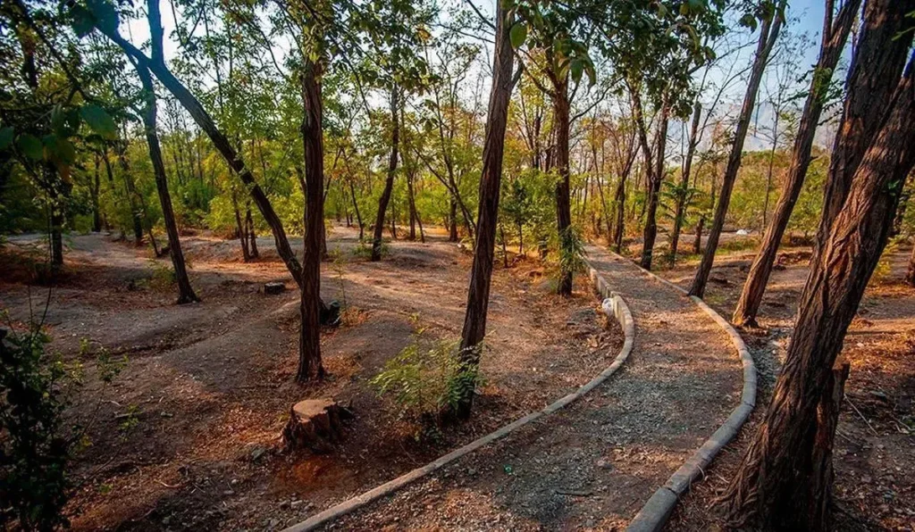 تخریب درختان سرخه‌حصار: دلایل و پیامدهای ناگوار آن را بشناسید!