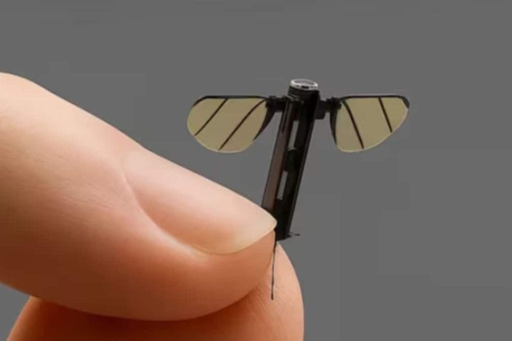 باورنکردنی؛ این پهپاد جاسوسی هماندازه یک پشه است!