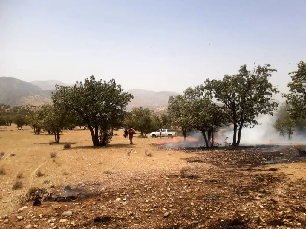 کنترل آتش در دنا؛ موفقیت محیطبانان در نجات گنجینه طبیعی کشور!