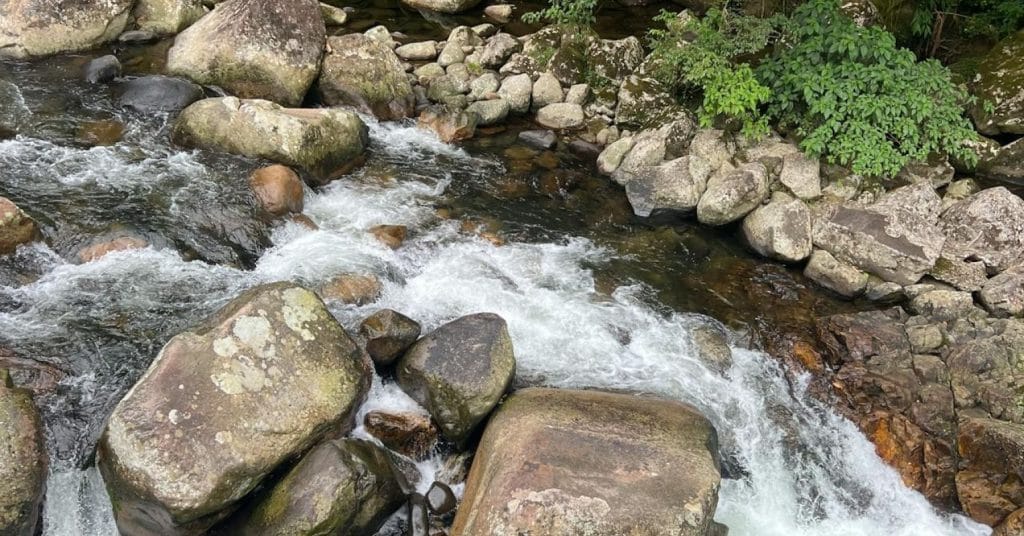 شفای درون: نقش احساسات و معنویت در درمان واقعی