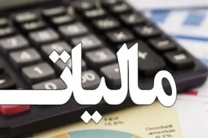 شرکت‌های خصوصی چطور یک‌سوم مالیات کشور را در سال ۱۴۰۳ پرداخت می‌کنند؟