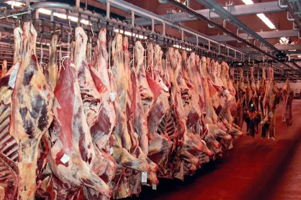 چرا قیمت گوشت قرمز در محرم ثابت ماند؟ راز عرضه گسترده گوشت منجمد فاش شد!