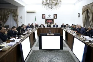 روش مولدسازی و مازاد بودن ۴۹ فقره ملک دولتی مشخص شد