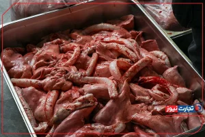 چرا قیمت گوشت قرمز امروز ۱۶ مرداد ۱۴۰۴ تغییر کرده؟ +جدول مقایسه‌ای بازار!