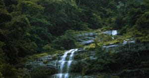 چرا روان‌شناسی باید از آیین‌های بومی الهام بگیرد؟ راز این ارتباط عمیق چیست؟