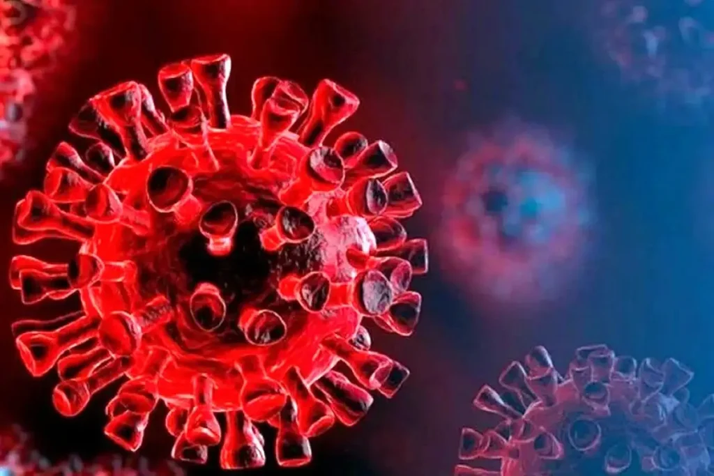 کرونا چگونه ارتباط مرموز روده و مغز را تحت تأثیر قرار داده است؟