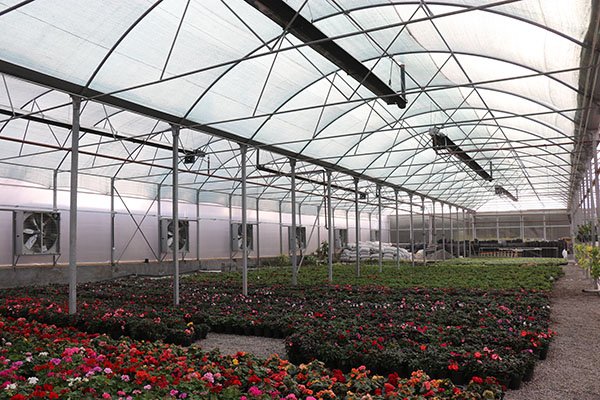 قیمت هیتر تابشی