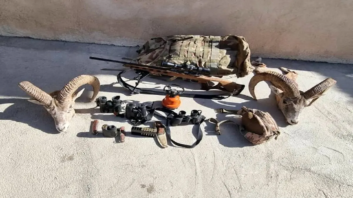 شکارچی حیاتوحش در شهرستان خمین شناسایی و دستگیر شد