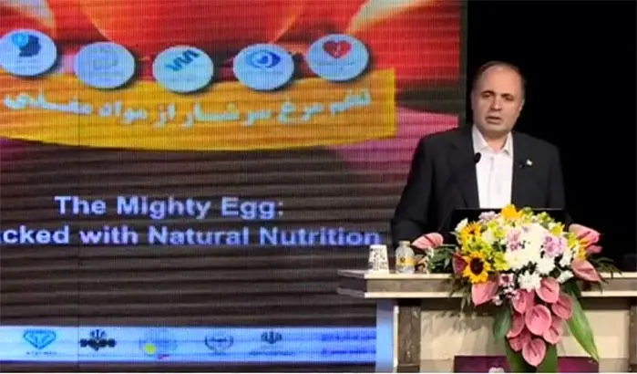 راز پنهان نهادههای مرغ: چرا واردات، انتخاب اجباری است؟"