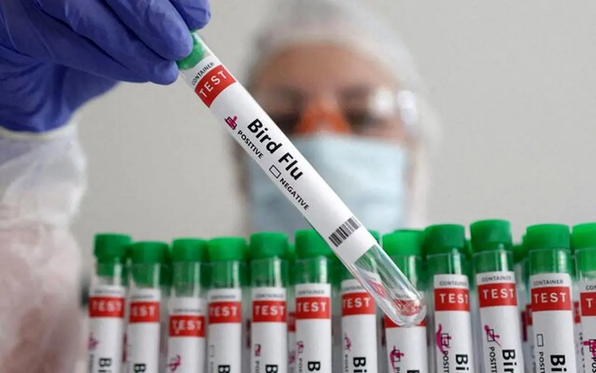 تاکنون مورد انسانی از آنفلوآنزای پرندگان در ایران گزارش نشده است