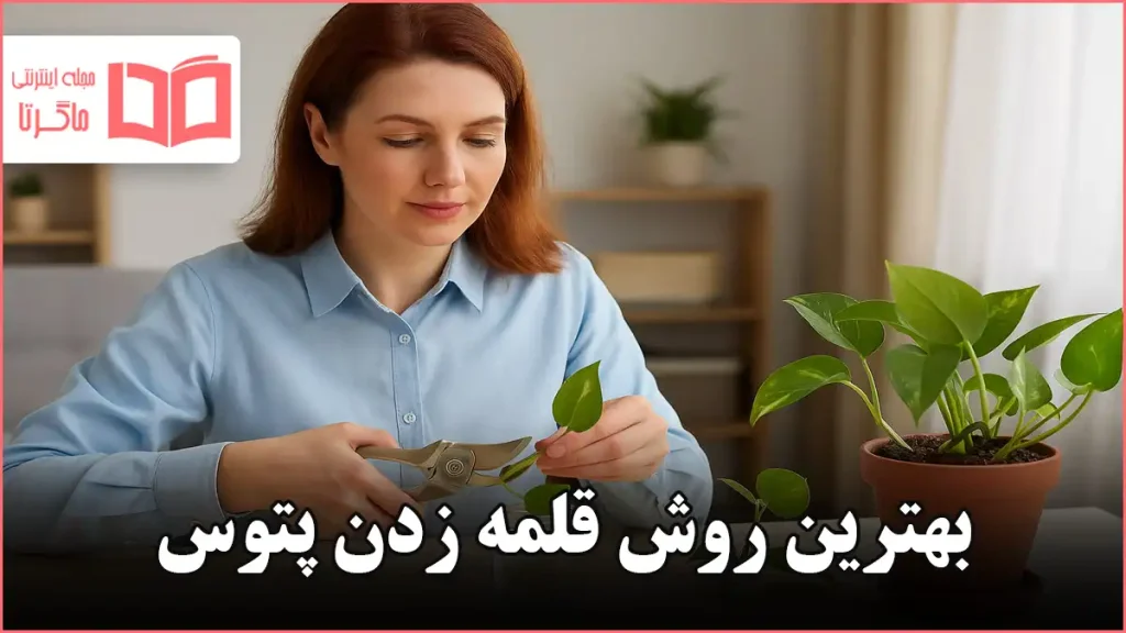 بهترین روش قلمه زدن پتوس