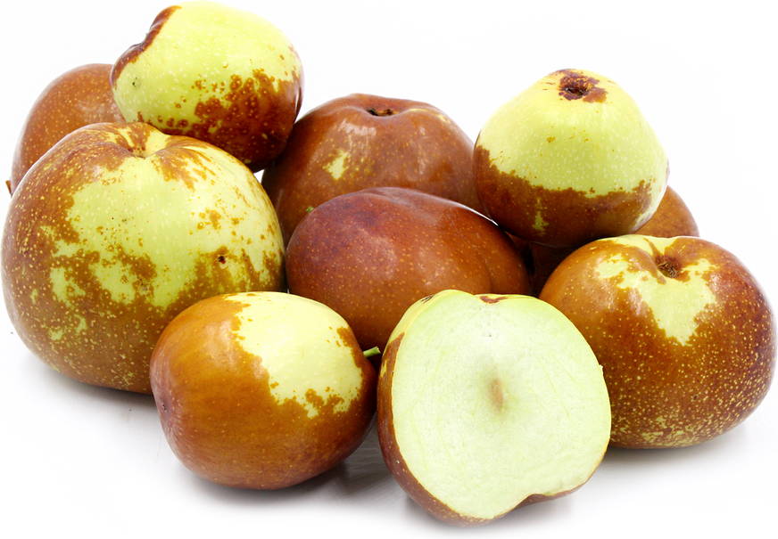 خواص کنار برای مو: بهترین راهکار خیره‌کننده و آسان رشد مو