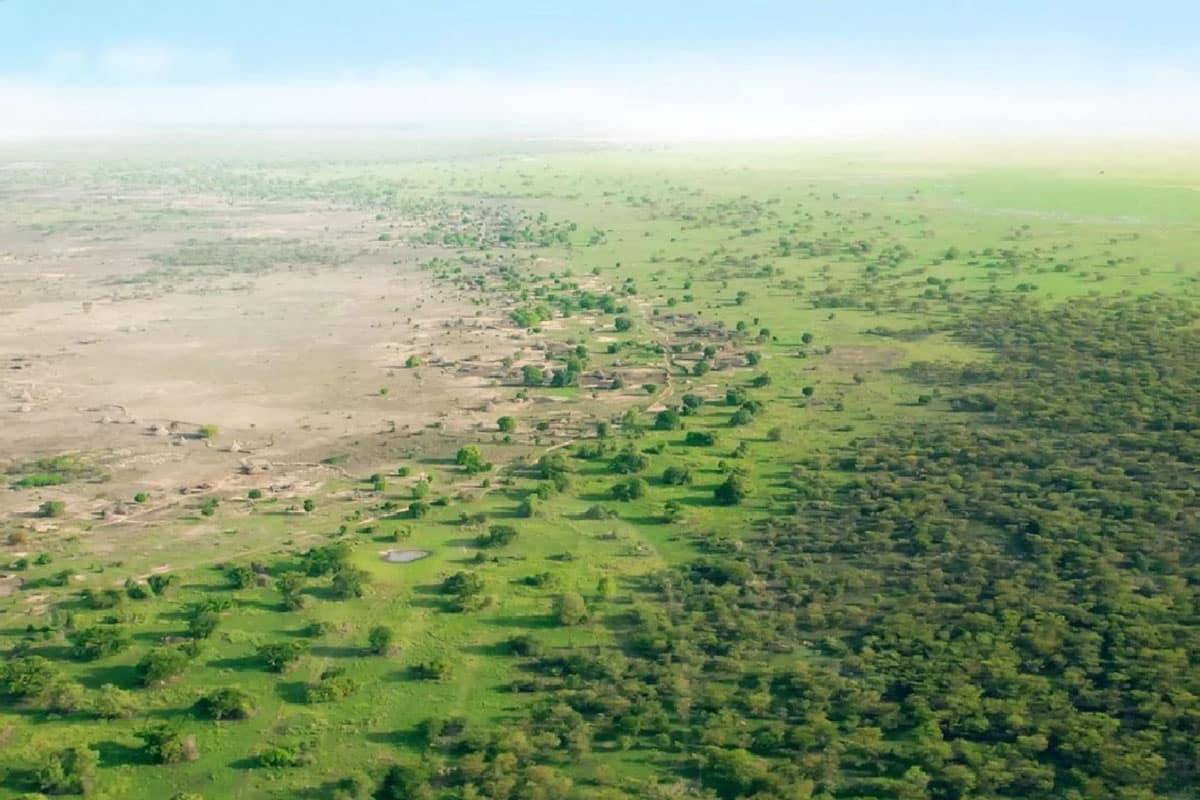 وقتی شنهای صحرا نباشند، چه خواهد شد؟