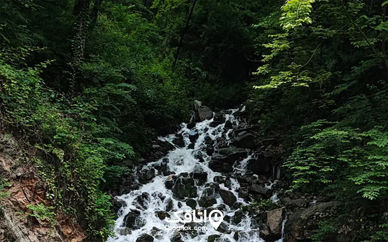 ابشار اب پری؛ تجربهای خیرهکننده و آرامشبخش ضروری