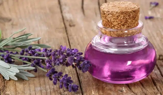 اسانس اسطوخودوس منحصر به فرد و ضروری برای آرامش بی‌نظیر