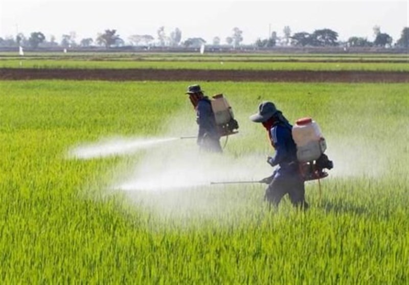 سم پاشی تریاک ضروری و خیره‌کننده برای کنترل آسان