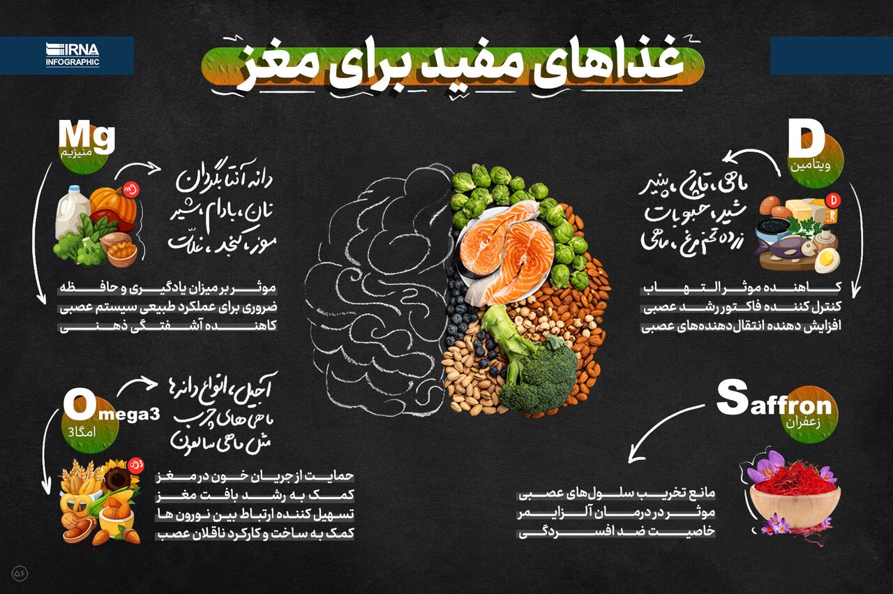 غذاهای گرم کننده مغز ضروری برای بهبود حافظه عالی