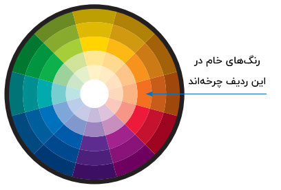 سیلور چه رنگی میشه؟ راهنمای ضروری و آسان رنگ‌شناسی