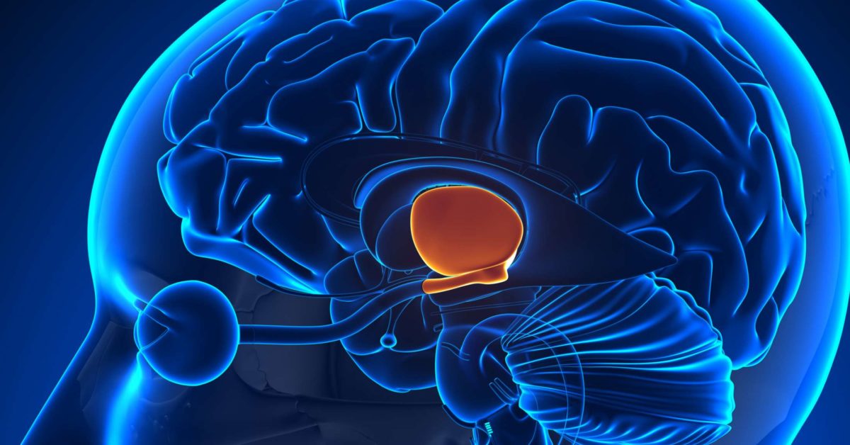 غده هیپوتالاموس: نقش خیره‌کننده و ضروری در سلامت مغز