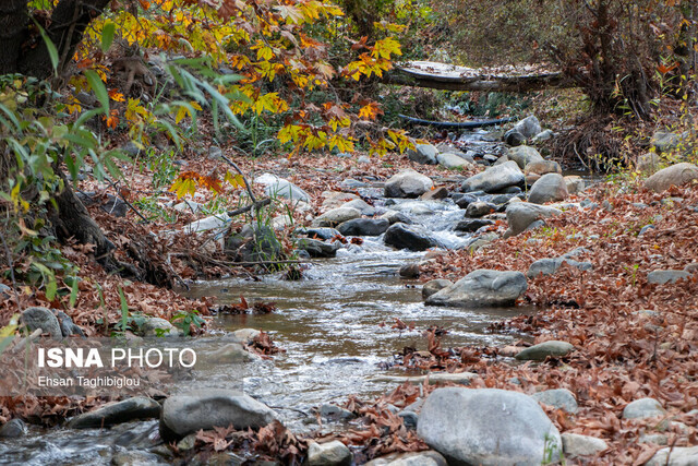 مقایسه اقلیمی ایران با همسایگان: آیا ایران واقعاً خشک است؟