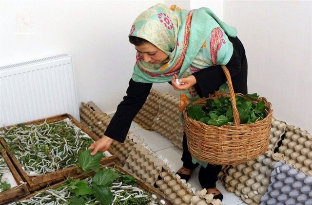 مهمترین چالش مشاغل خانگی: ضعف در بازار و نبود سکوی عرضه مستمر