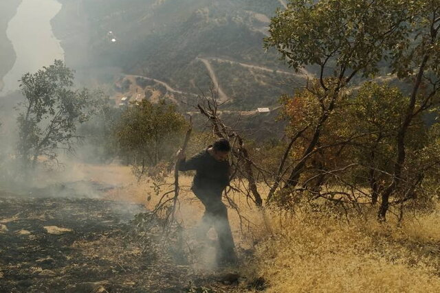 نبرد خاموش در بهشت کهن: حکایت سوختن «هیرکانی» و تلاش شبانه روزی قهرمانان الیت