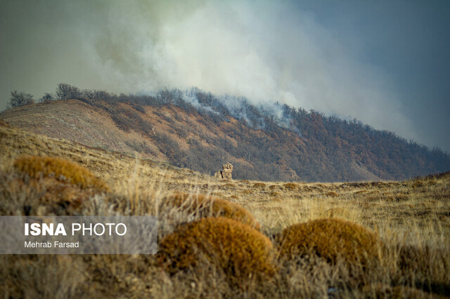 راز مهار آتش در جنگل های الیت: قدرت بومی در مقابله با مسیرهای 90 درجه و ضعف تجهیزات