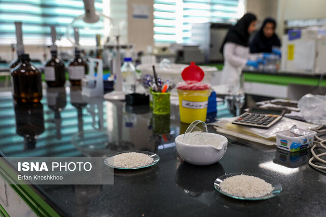 حمایت واقعی از پژوهشگران؛ تقویت آزمایشگاه ها و گرنت ها تنها راه نجات تولید علم